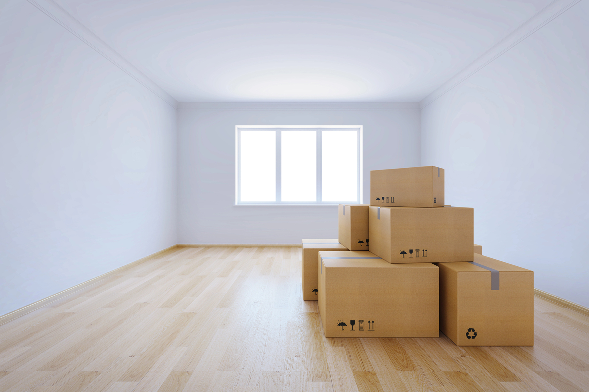 Move in and move out cleaning
